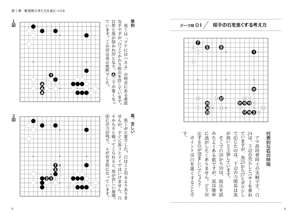 囲碁・大局観集中講義 重い石と軽い石の捉え方 (囲碁人ブックス